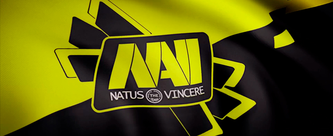 ФНС заблокировала сайт украинской киберспортивной организации Natus Vincere