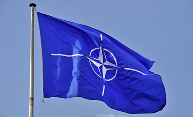 НАТО: кибератак в мирное время не будет